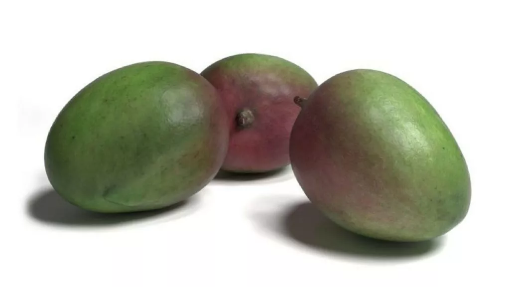 How To Make Fresh Mango Pickle Recipe_ Gujarati Style