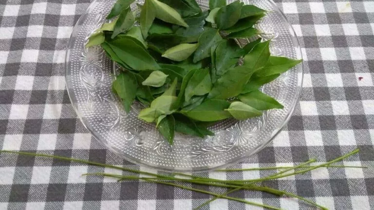 Preserving Curry Leaves/Kadi Patta