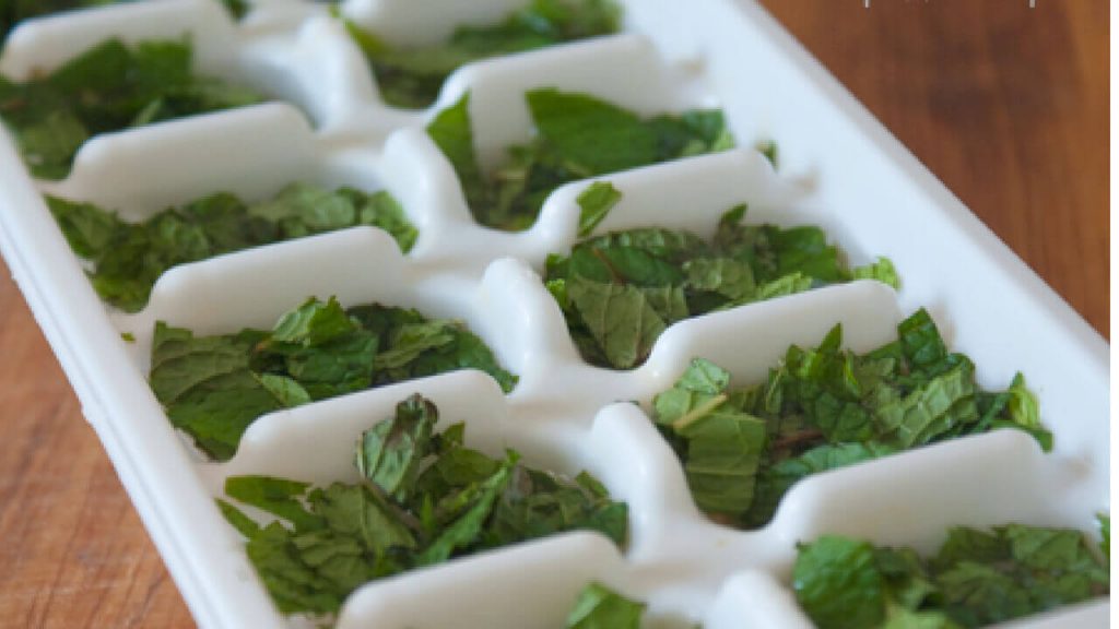 Preserving Mint Leaves: Storing, Drying &amp; Freezing Mint - FoodAllTime