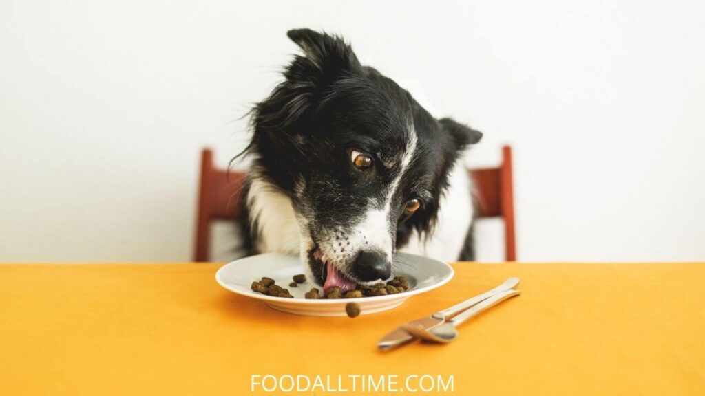 53 Things Your Dog Can Eat | Things Your Dog Cannot Eat | Human Foods Dogs Can and Cannot Eat