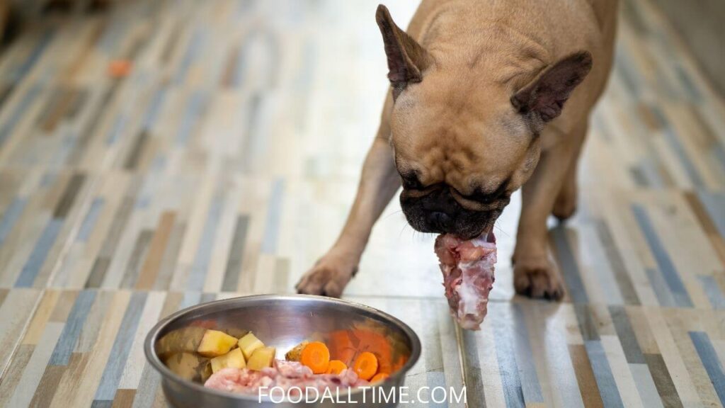 53 Things Your Dog Can Eat | Things Your Dog Cannot Eat | Human Foods Dogs Can and Cannot Eat