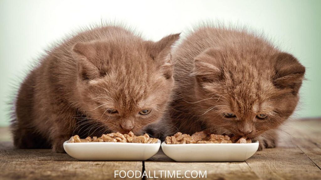 Homemade Cat Food: Top 3 Benefits Of Homemade Food