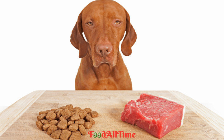 How To Prepare Best Homemade Dog Food | A Beginner’s Guide to Home Cooking for Dogs