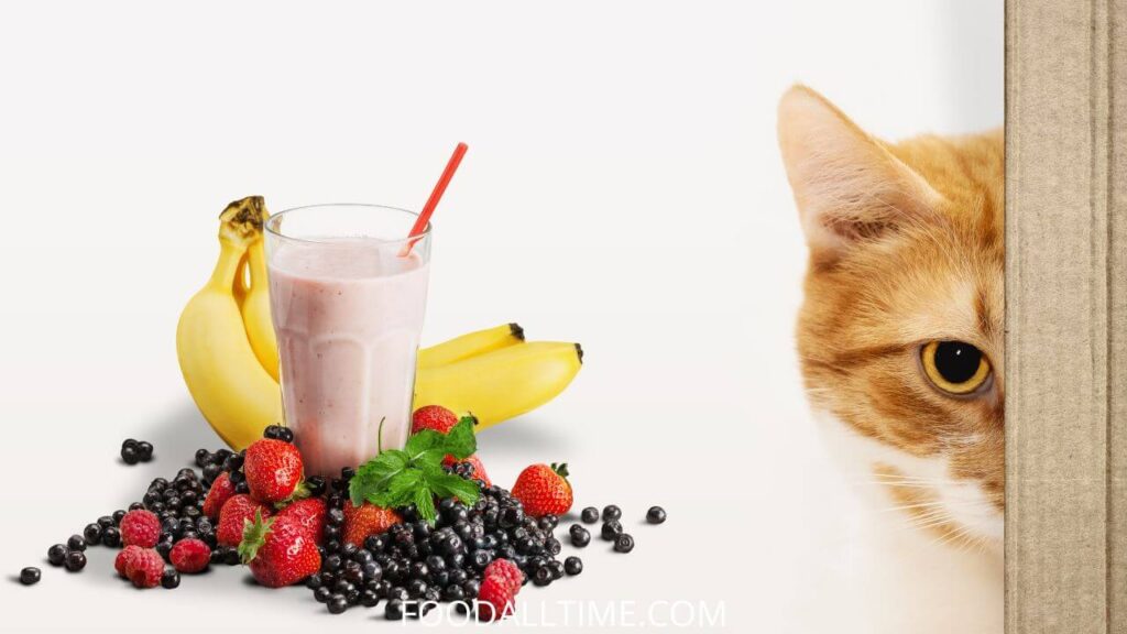 5 Pawsome Meowtastic Smoothie Recipes for Cats