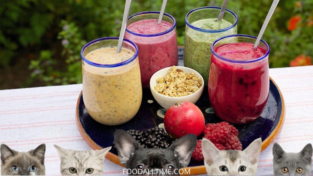 5 Pawsome Meowtastic Smoothie Recipes for Cats