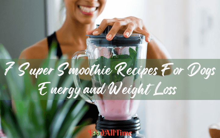 7 Super Smoothie Recipes For Dogs Energy and Weight Loss  