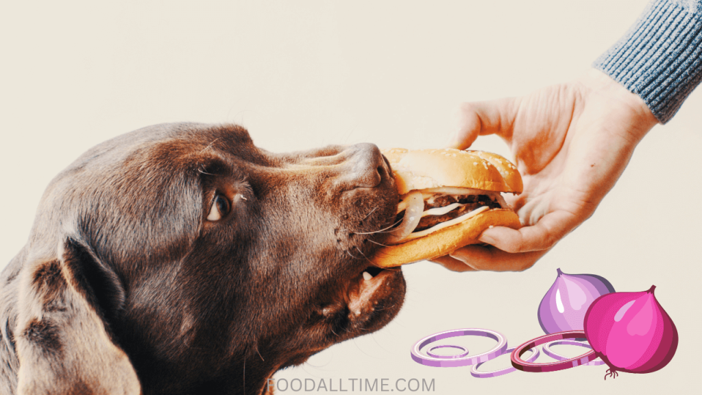 Is It Safe For Dogs To Drink Vegetable Broth With Onions?