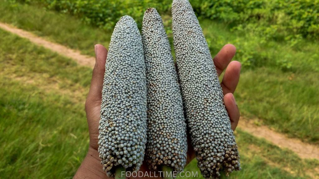 14 Nutritional Benefits Of Bajra (Pearl Millets)