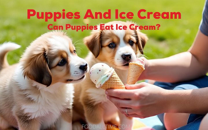 Puppies And Ice Cream: Can Puppies Eat Ice Cream?